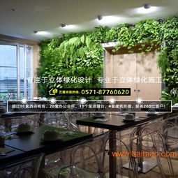 杭州植物墙与绿墙设计施工全解析 从专业设计到价格咨询